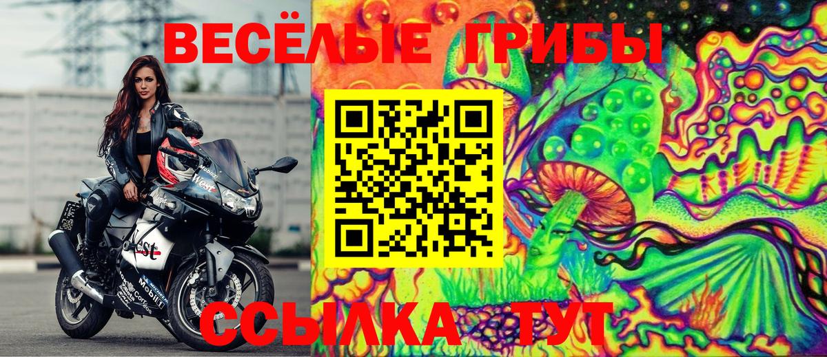 Галлюциногенные грибы MAGIC MUSHROOMS Тверь