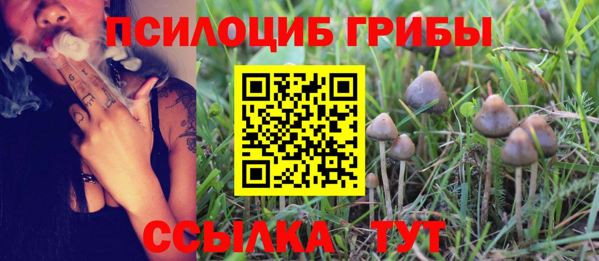 Галлюциногенные грибы Psilocybe  Галлюциногенные грибы ЛСД  Вход с VPN  Тверь 